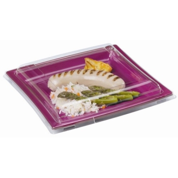 ASSIETTE CARREE PLASTIQUE COULEUR