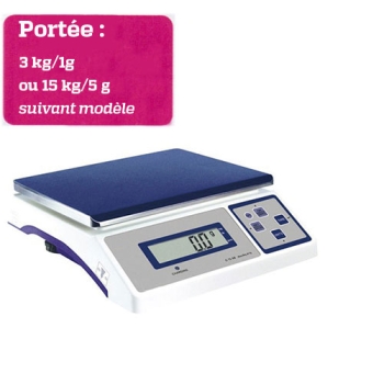 BALANCE LABORATOIRE -