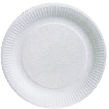 ASSIETTE CARTON BLANC