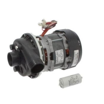 ELECTROPOMPE ADAPTABLE COLGED - PUISSANCE 1.1HP