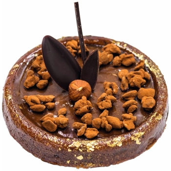 MOULE MAE INNOVATION 24 TARTES RONDES - GAMME SILMAE