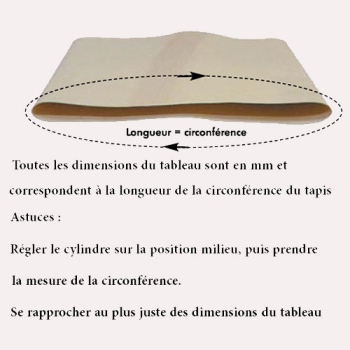 TAPIS LAMINOIRS-BANDES TRANSPORTEUSES