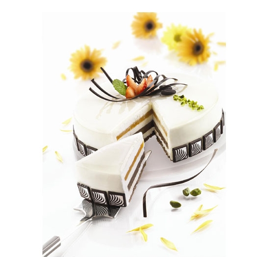 MOULE SILIKOMART 6 EMPREINTES Ø 180 - GAMME TORTAFLEX