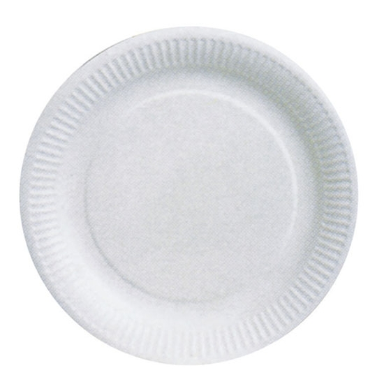 ASSIETTE CARTON BLANC